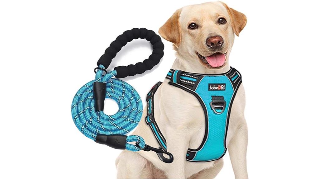 adjustable blue dog harness