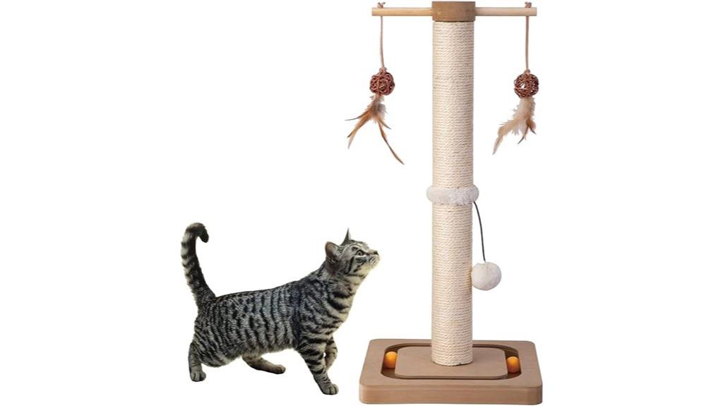 cat scratching post toy