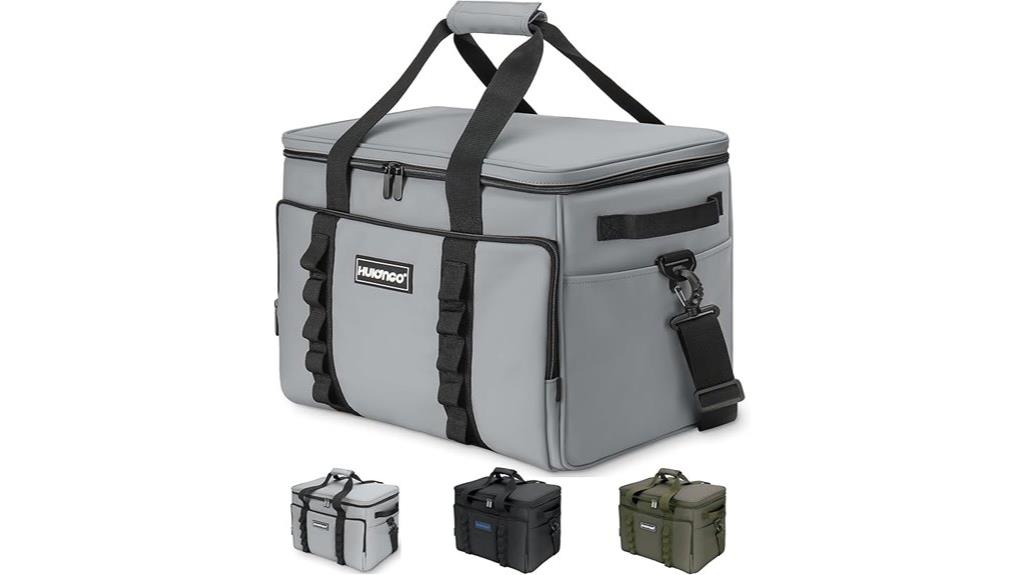 insulated travel picnic bag