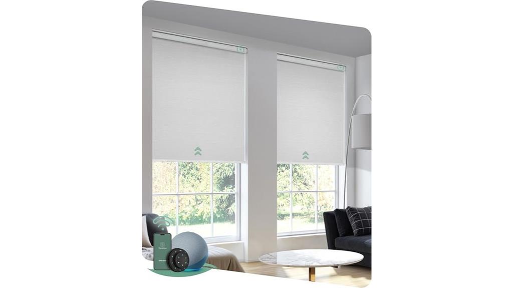 motorized blinds with remote