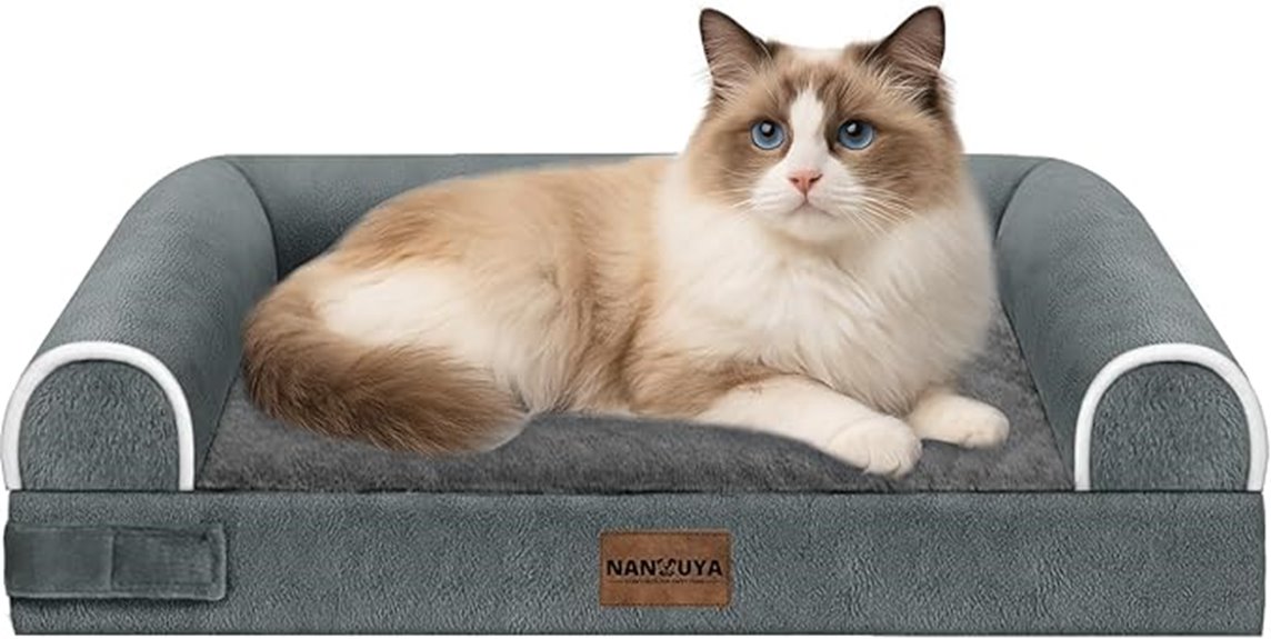 orthopedic small dog bed