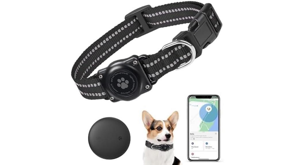 pet gps tracking device