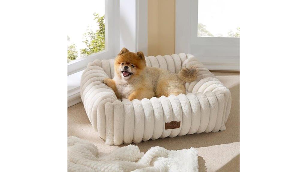 small dog bed with removable cover