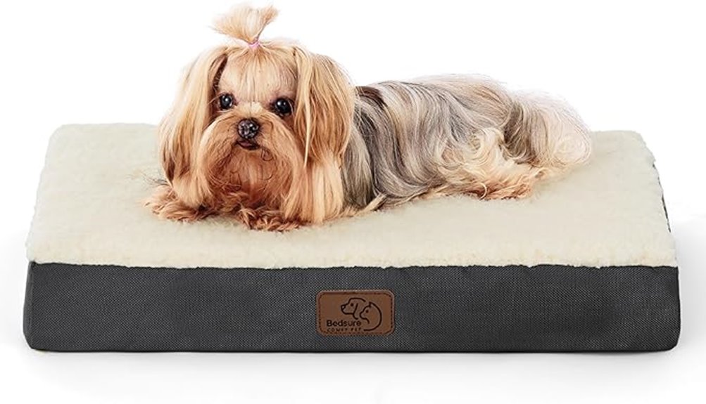 small washable orthopedic bed