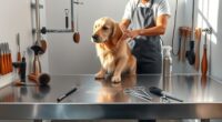 top pet grooming table picks