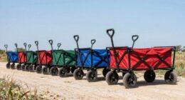 top 15 heavy duty carts