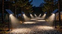 top solar walkway lights