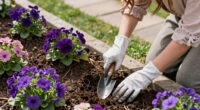 10 Ravishing Purple Flowers To Grow For The Most Beautiful Garden Borders Of All Time – Get Ready To Swoon!