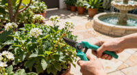 7 Plants to Prune in July Before it’s Too Late – Next Year’s Flowers Depend On the Right Timing