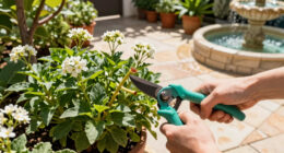 7 Plants to Prune in July Before it’s Too Late – Next Year’s Flowers Depend On the Right Timing