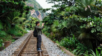 Coast Wilderness Railway Surges In Global Coverage