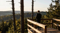 Drei Tote Im Harz Aussichtsturm