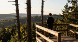 Drei Tote Im Harz Aussichtsturm