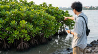 In Its Quest For Mobility, Can Mumbai Afford To Lose Its Mangroves? - Deccan Herald