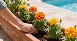 Marigolds Were Already The Ultimate Summer Flower – But It Turns Out They Have A Surprising Superpower