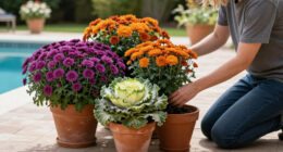 5 Fast-Growing Fall Flowers For Containers That Dazzle From The End Of Summer Until The First Frost