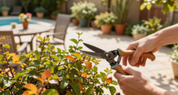 6 Plants You Should Prune In September For A Tidy Fall Garden – Plus, Which Plants You Should Leave