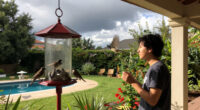 Can Your Bird Feeder Really Tell You If A Storm Is Coming? Here's The Truth