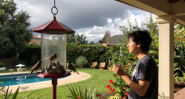 Can Your Bird Feeder Really Tell You If A Storm Is Coming? Here's The Truth