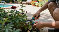 Cut Back These 8 Tired Perennials Before August Ends – And You’ll Get An Extra Flush Of Blooms This Year