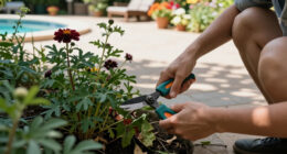 Cut Back These 8 Tired Perennials Before August Ends – And You’ll Get An Extra Flush Of Blooms This Year