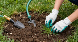 Is Your Brown Lawn Dead Or Just Dormant? 5 Signs It Will Bounce Back Before Fall