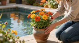 5 Self-Sowing Flowers That Bloom In Fall – For Easy Autumn Color That Returns Year After Year