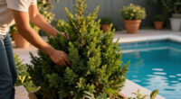 Every Garden Needs One Evergreen That Thrives On Neglect – Here Are 7 Of The Best To Plant