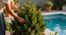 Every Garden Needs One Evergreen That Thrives On Neglect – Here Are 7 Of The Best To Plant