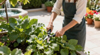 Horticulture Department Surges In Global Coverage