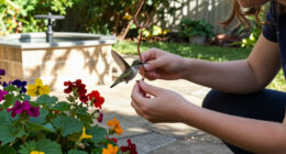Is Your Backyard On The Hummingbird Migration Map? See Where These Tiny Birds Are Stopping Off