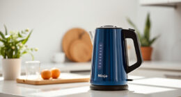 Keep Your Ninja KT200BL Kettle Sparkling This Summer