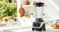 Ninja Professional Blender: Your Perfect Summer Smoothie Sidekick