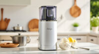 Summer Care for Your Ninja CREAMi Deluxe Ice Cream Maker
