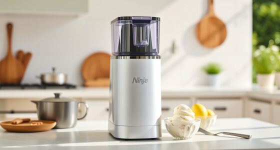 Summer Care for Your Ninja CREAMi Deluxe Ice Cream Maker