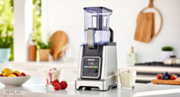 Summer Care & Troubleshooting for the Ninja Creami XL Ice Cream Maker