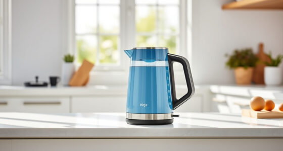 Summer Sips: Must-Have Accessories for Your Ninja KT200BL Electric Kettle