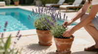 This Fragrant Long-Blooming Lavender Just Went On Sale And It's The Toughest Variety For Any Backyard
