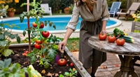 3 Vegetables You Can Save Seeds From In October To Grow Again Next Year