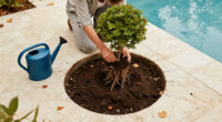 4 Fall Planting Mistakes That Can Leave Trees And Shrubs Struggling For Years