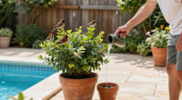 6 Compact Trees That Will Attract Birds To Your Garden