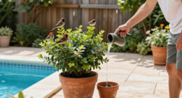 6 Compact Trees That Will Attract Birds To Your Garden
