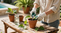 7 Easy Plants To Propagate In October – Get More Plants For Your Home And Garden Without Spending A Dime