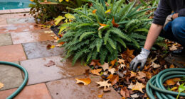 8 Proven Steps To Deter Snakes From Your Garden – And October Is The Very Best Time To Take Action