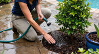 Garden Mythbusters: Is Fall Rain Enough For Newly Planted Shrubs And Trees? The Truth About Watering