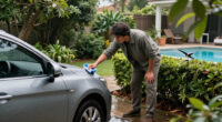 How To Stop Birds Pooping On Your Car – 5 Safe Ways To Keep Them Away From Your Driveway