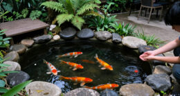 Jennifer Aniston’s Koi Pond Is The Dreamy Garden Luxury You Can Copy On A Small Scale – Fish Optional