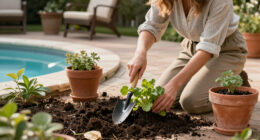 The Best Time To Move These 6 Backyard Plants Is Fall – To Make Sure They Get A Better Start Next Year