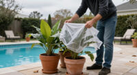 These 7 Plants May Not Survive A Super El Niño Winter – Protect Them Before The Cold And Wet Arrive