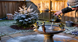 This Heated Bird Bath Keeps Water From Freezing In Winter – Shoppers Say Theirs Still Works 10 Years Later